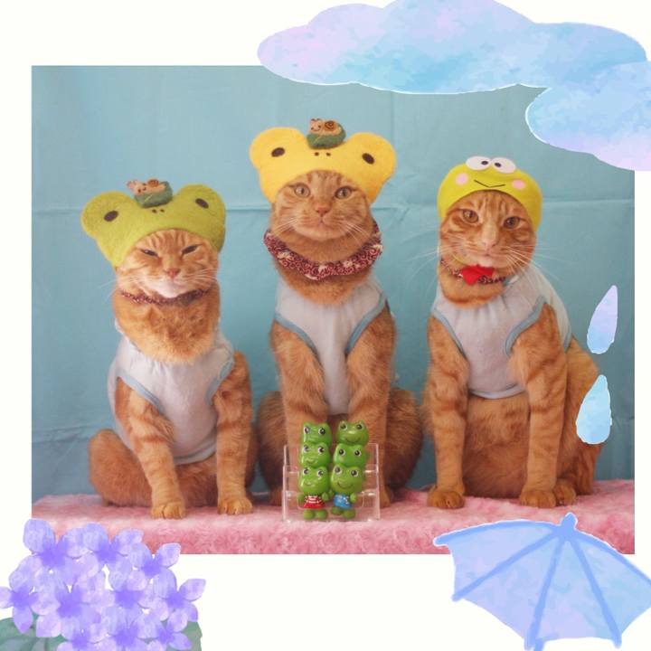 5179712d 4be9 4882 b728 fb7d616b29e6 1717297608272