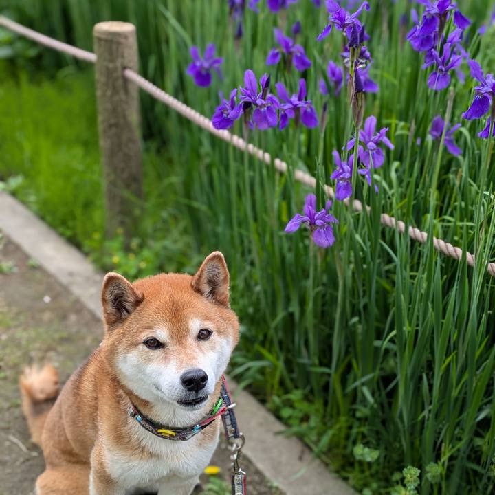 5179bcb8 b795 42bb 8874 bf6117e89a9a 1745645867859