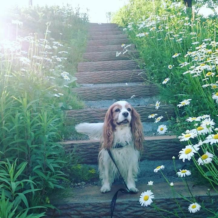 5179f8a7 0b48 4bd8 b065 b797b110a499 1528149655097