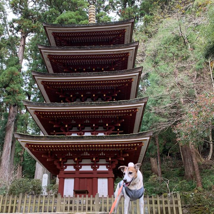 517a0dab c1c1 4dbb 8434 a58571c075de 1575087384753