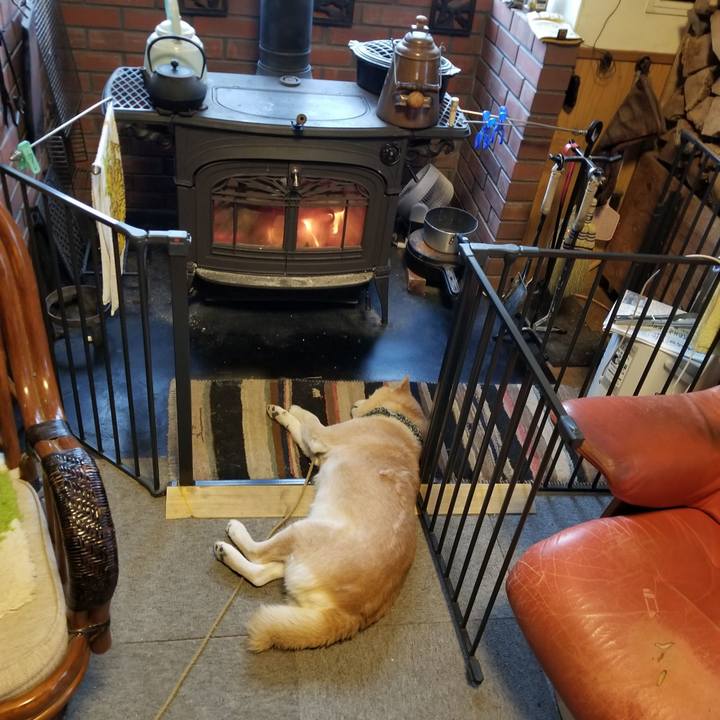 517a383b 88f4 49f8 86a4 af6e4fee00e3 1706828603027