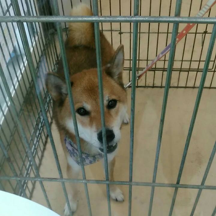 517a4ca8 8988 415e aea5 85d55affe7cd 1537260893490