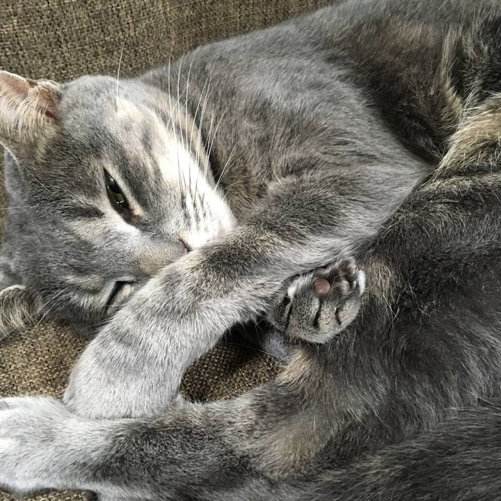 517a4f7b 3968 463b bdb2 b883cd00841a 1563886158671