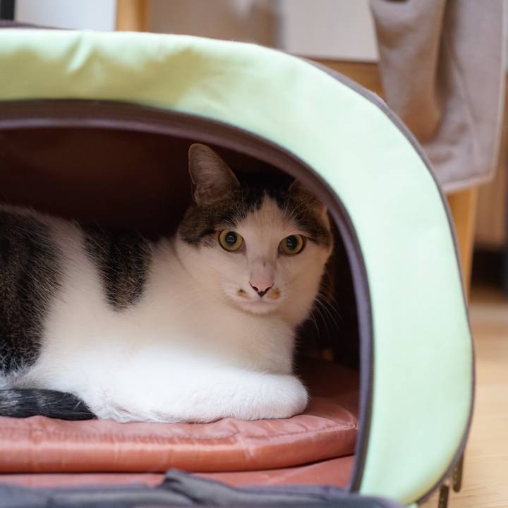 517a5e1b cfd6 4097 a0f3 51ffe0e65b67 1555283968897