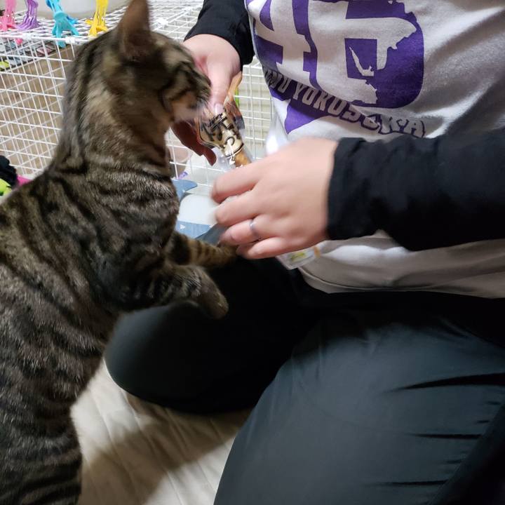 517a61bb a217 4209 9d8b eb1f15275198 1544103380056