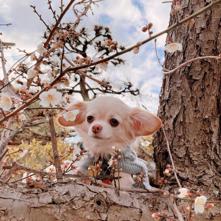 517a7dce 15c4 403b bac0 24d0688a79be 1674127953735