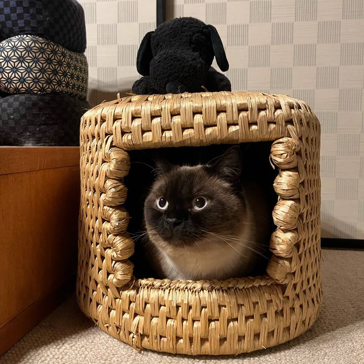 517abc01 d3bd 43f3 968a 987d751f0f30 1655437106195