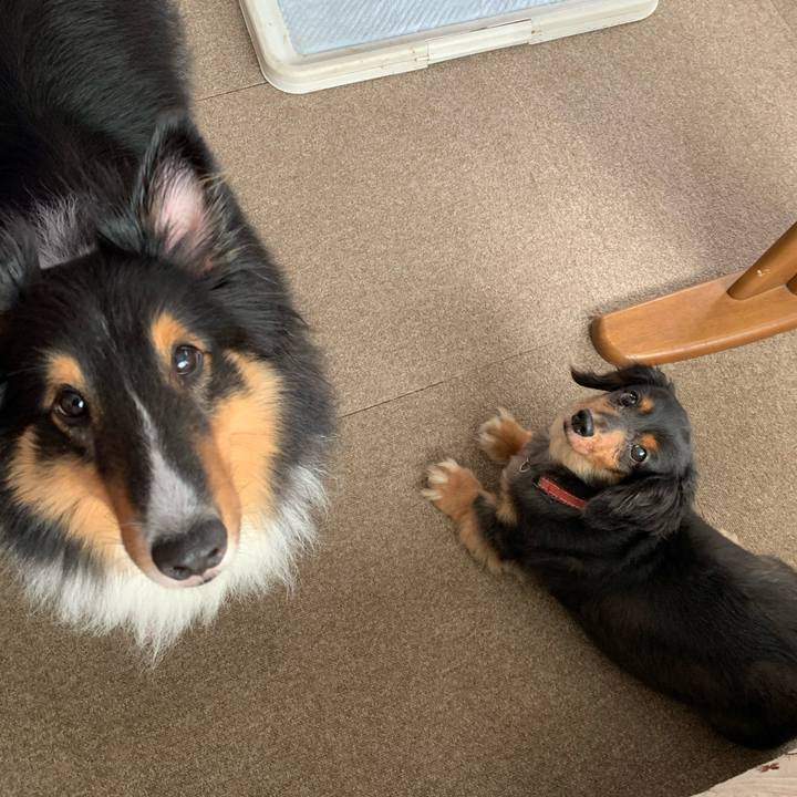 517ad4b0 c789 4431 9e45 1718e3de1c5b 1596495568927