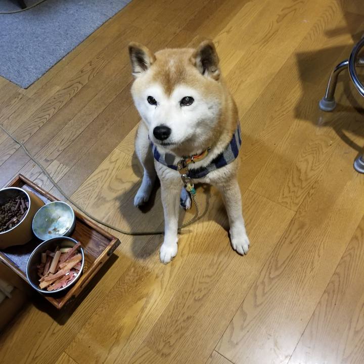 517b22d3 e77f 404c b985 e900e4b93315 1675419447467