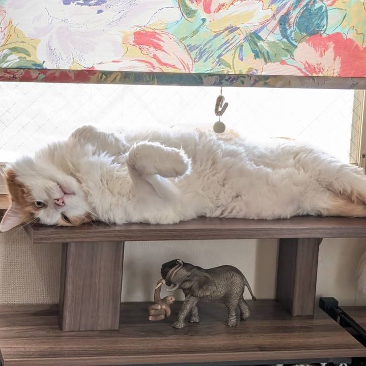 517b3b6c 436f 4801 8268 d94f0ac2e93f 1756004045209