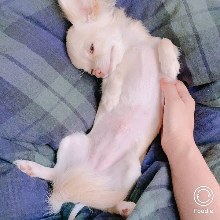 517b5c76 bfea 4f11 96c5 c21f96363043 1599534915876