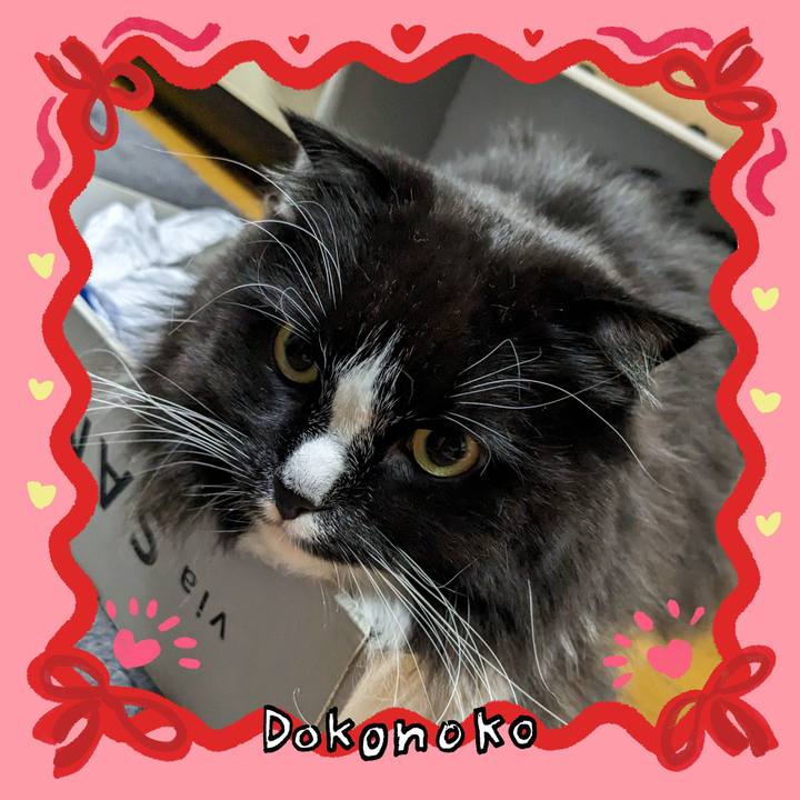 517b5d1f 68ce 415d 85e9 d197fd763e91 1707051392544