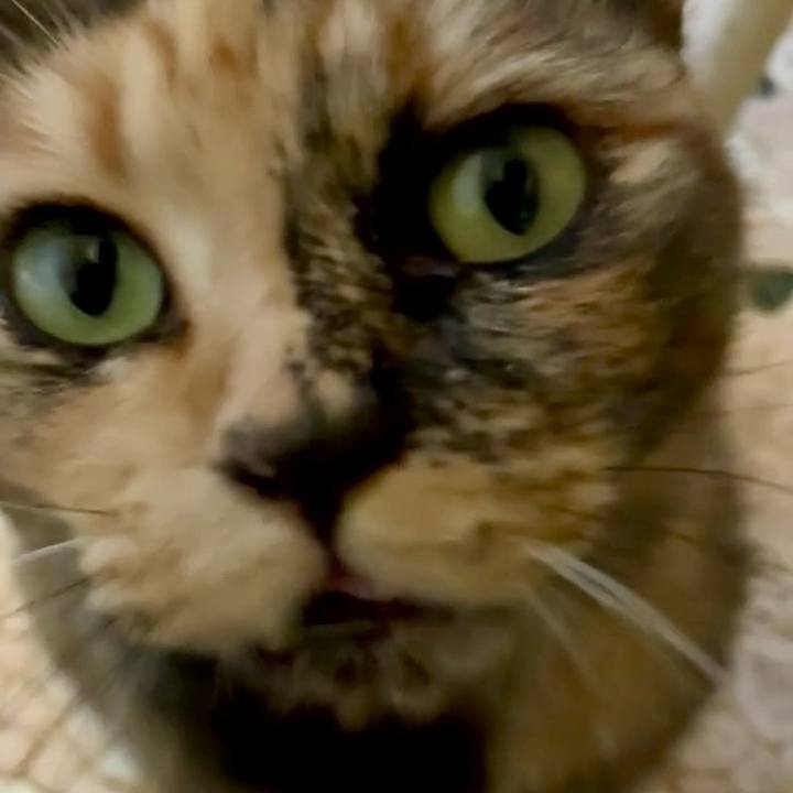 517bb890 568a 4e27 a25c b297b4b4fa3d 1750276374456