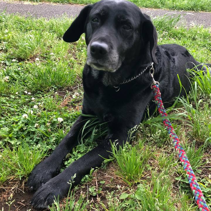 517bfd4b b48d 4b7f ab51 4d6eb4f64746 1525340485382