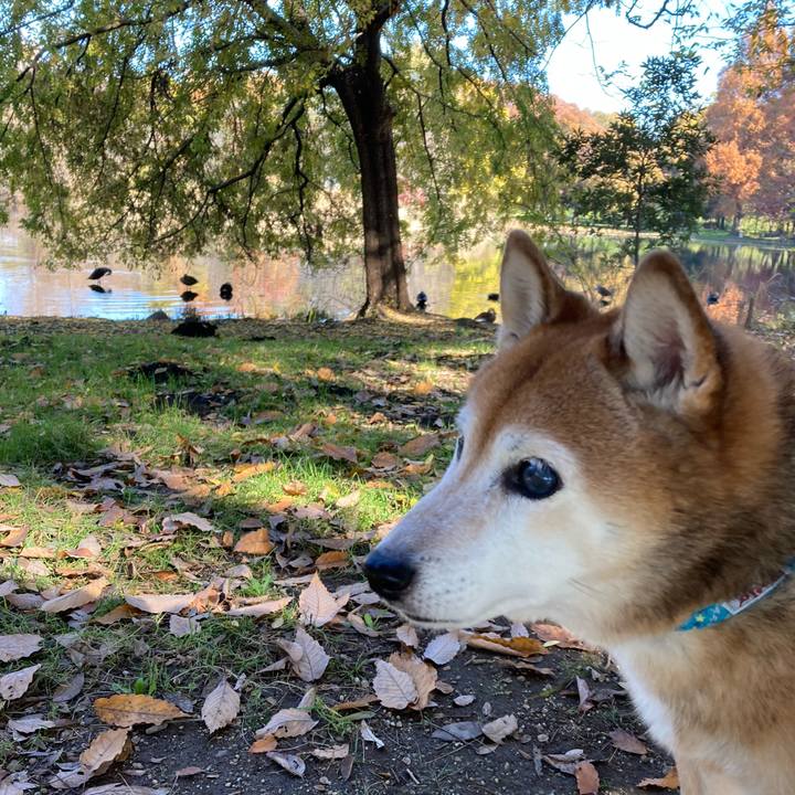 517c004e cfd2 4b1f 94b4 472b93a01744 1733200100406