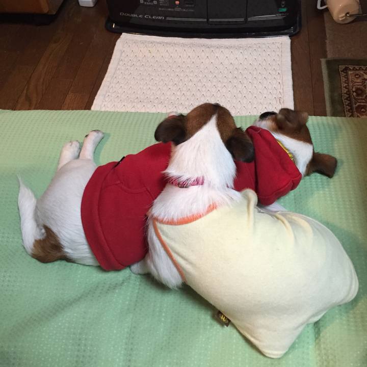 517c235b f1e6 460a b132 b9fd411594da 1510483123960