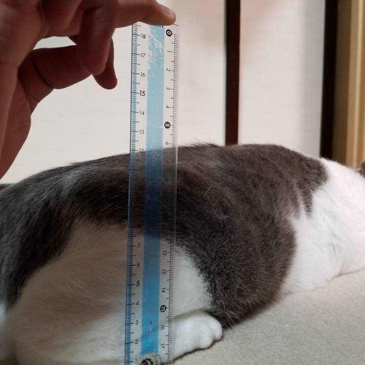 517c3683 9610 4245 a02d c0ed7a17aa4e 1654786743861