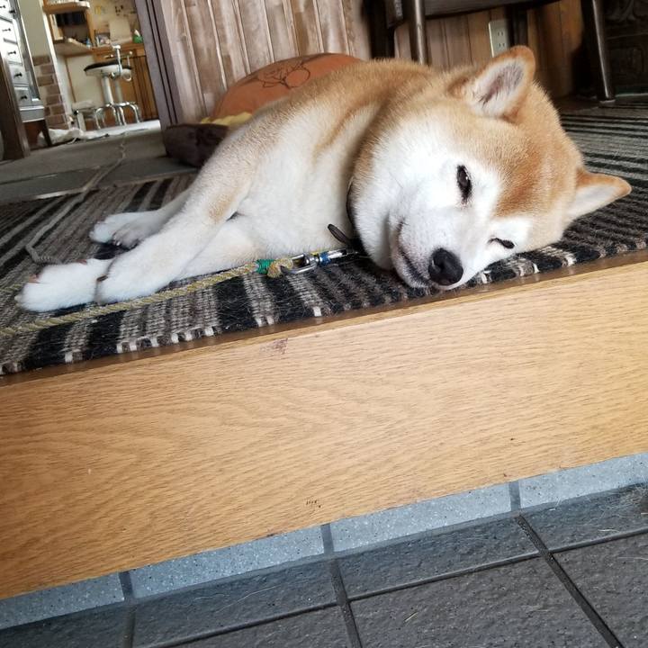 517c3a63 301f 499b 8098 6807677ba9ba 1625100872979