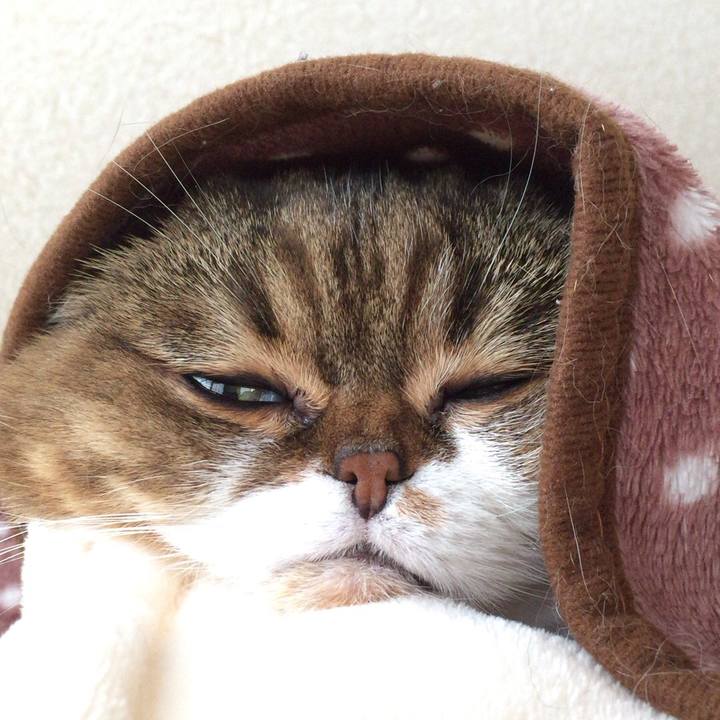 517c3db5 019d 4098 b48f 4478d35714b6 1511862406505