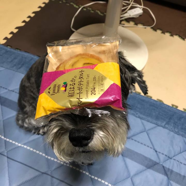 517c4436 f072 4ad9 ad16 08fd0280097c 1662857633275