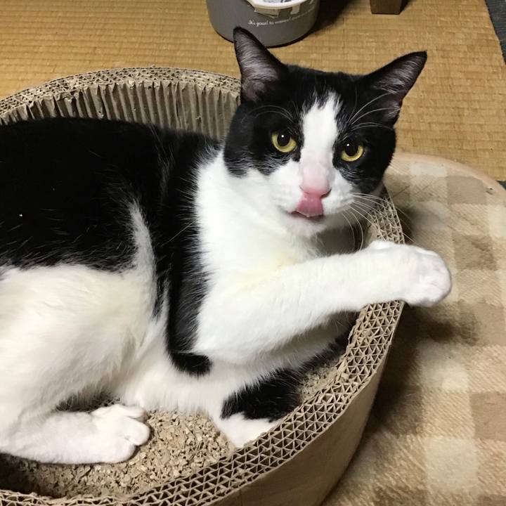 517c6037 6b76 4b0b b9d2 ad6874bead67 1703580512744