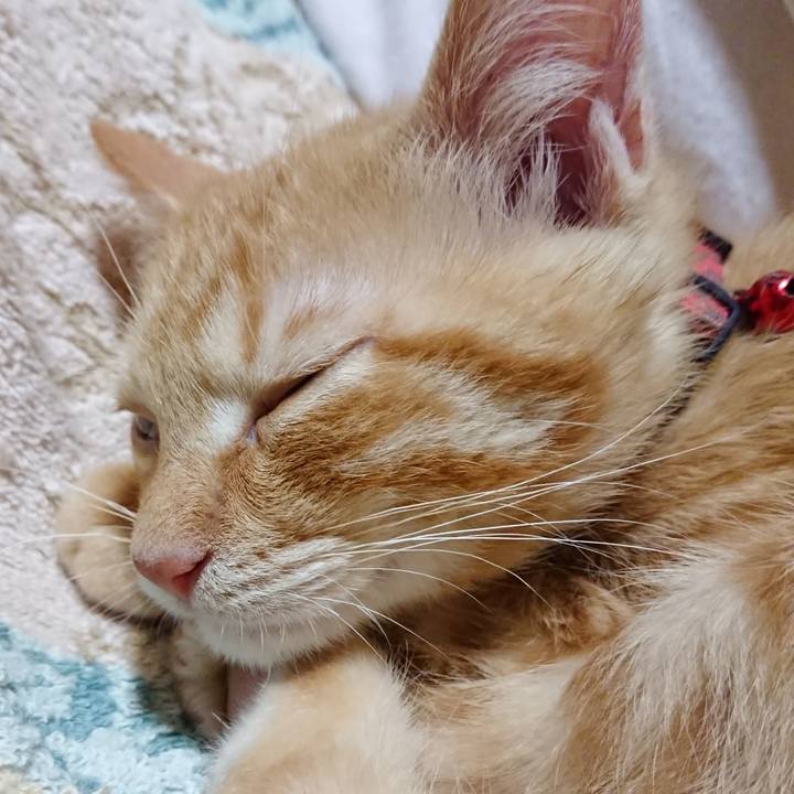 517c6ce4 16be 4d4c 8777 c44de630a723 1632489401608