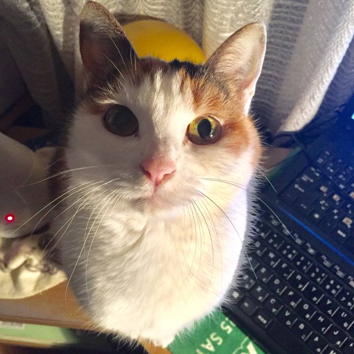 517cd6e4 3a2b 4921 8352 79ab907d0cb9 1516590857436