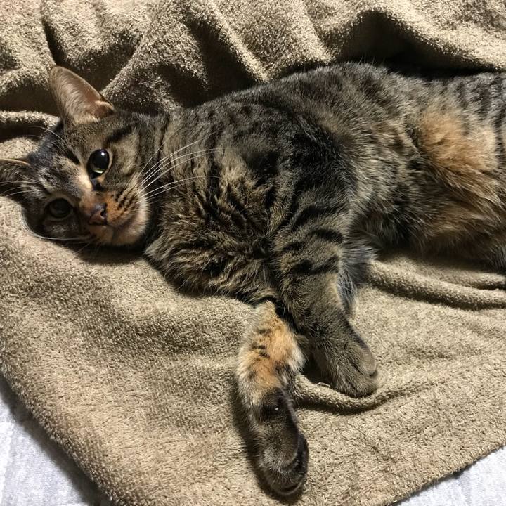 517cd81c 61c6 46da 9346 d8740ac8df38 1516032471672