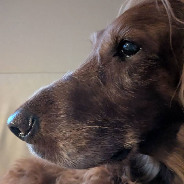 517ce277 cf44 4592 8ec3 e37f244a8abd 1775115930532