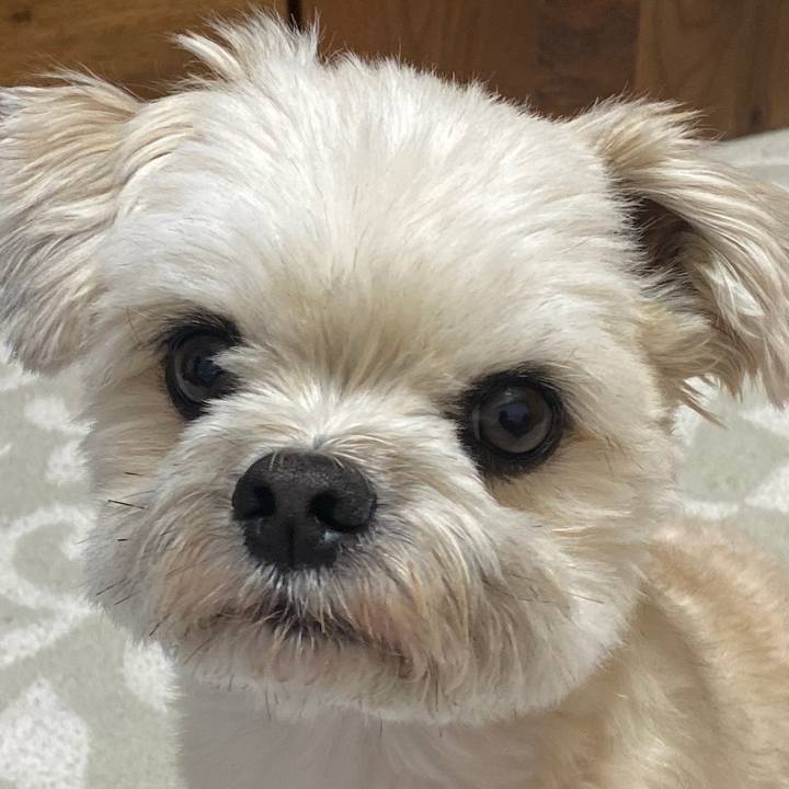 517d3c4a 801a 4b1b bb18 029cf5188a1b 1586358906463