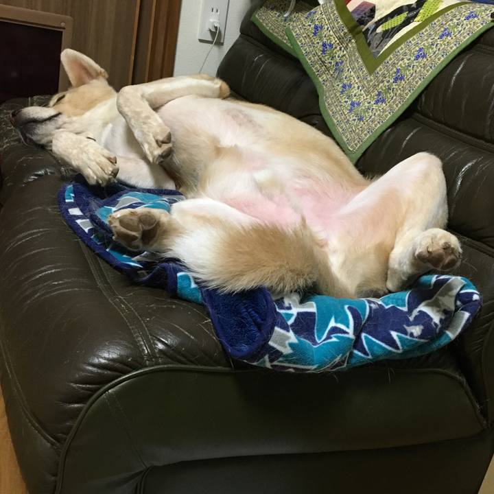 517d3dc2 8e01 45e7 92cb d65f5ee0e47c 1540033582602