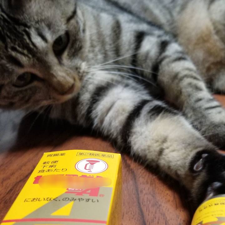 517d51d6 b331 4429 8e0f 1e7b65567809 1688909706725