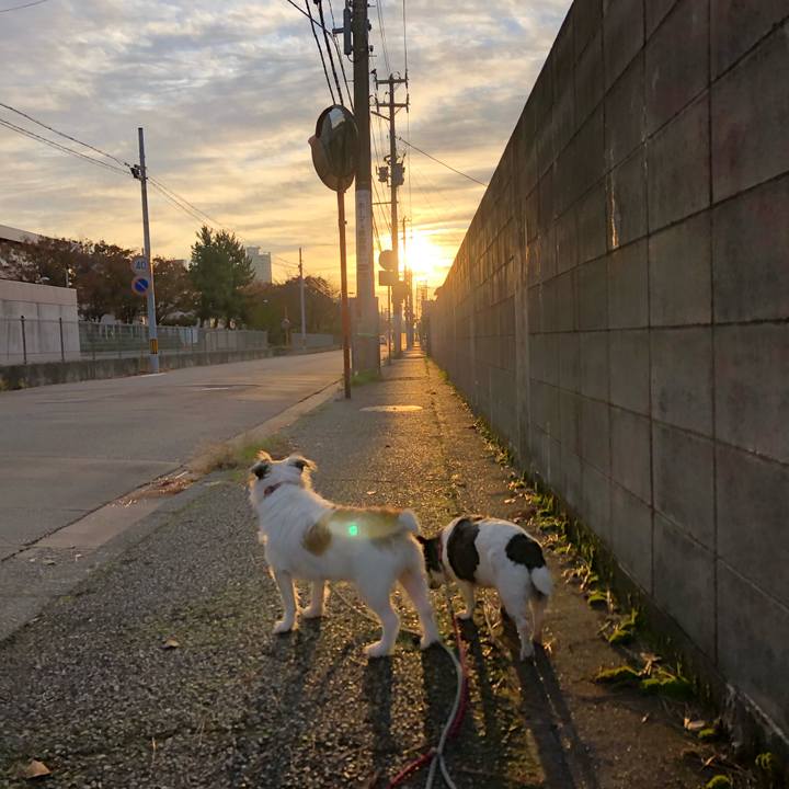 517d5973 f5f5 422a b54e 87188bd6ba61 1573078936875