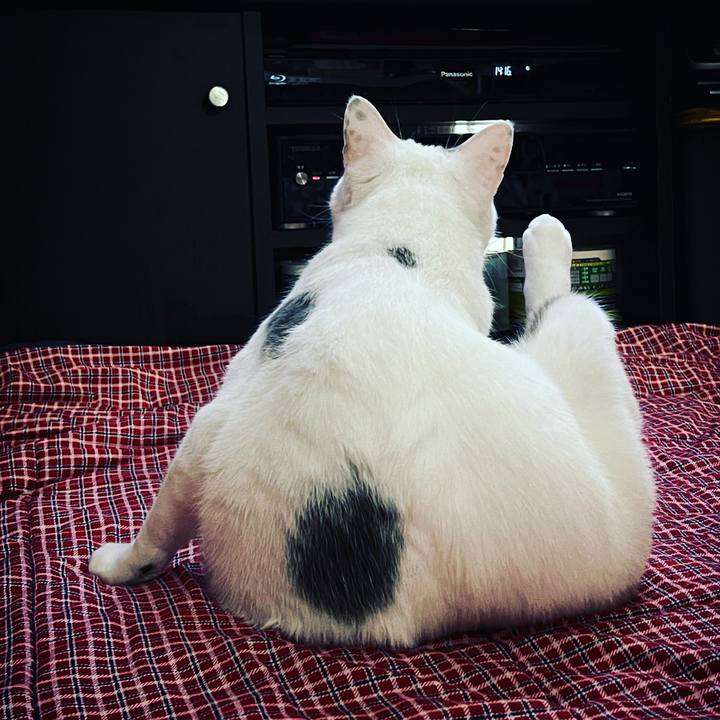 517daa43 6a42 49af b2ca d62c5426a377 1633704535520