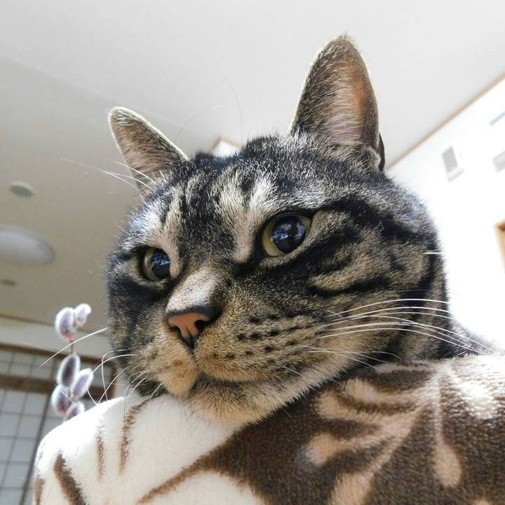 517db05e c1e2 4a3e 8f37 b674275304f4 1519664820408