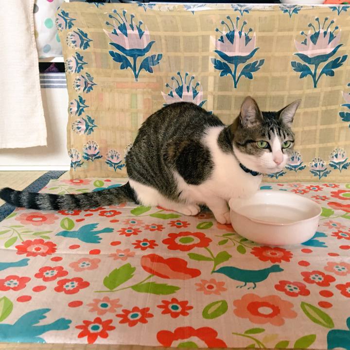 517dc35f 3921 4a25 ab49 753ea95359bc 1519700379276