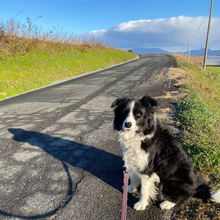 517dcf79 d7ee 4733 873d 704d93db1d8a 1640910426753