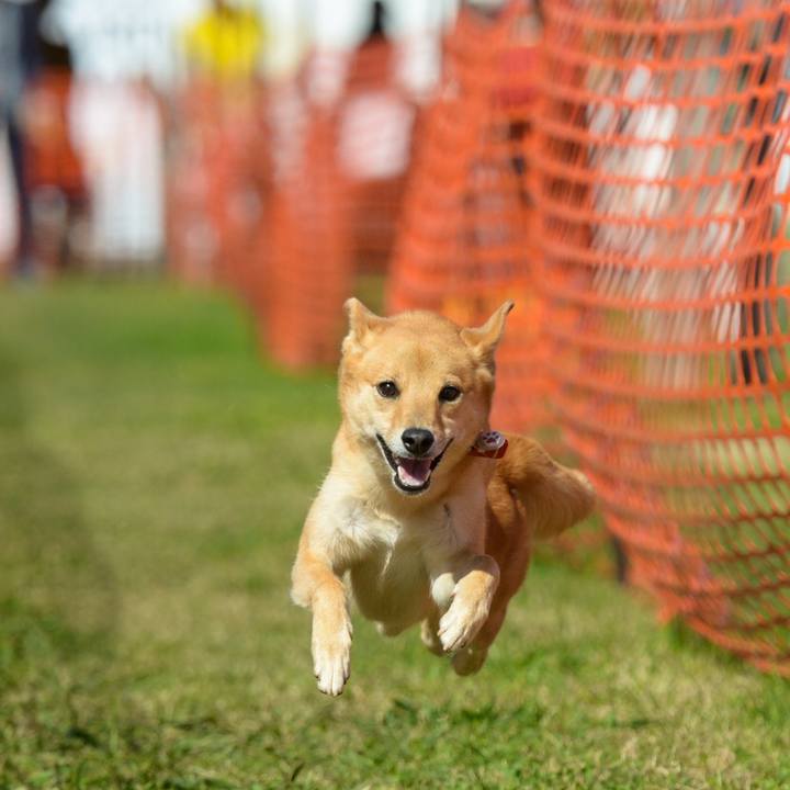 517e02ec 90bc 48db 9503 203c3a3c05b0 1540607622825