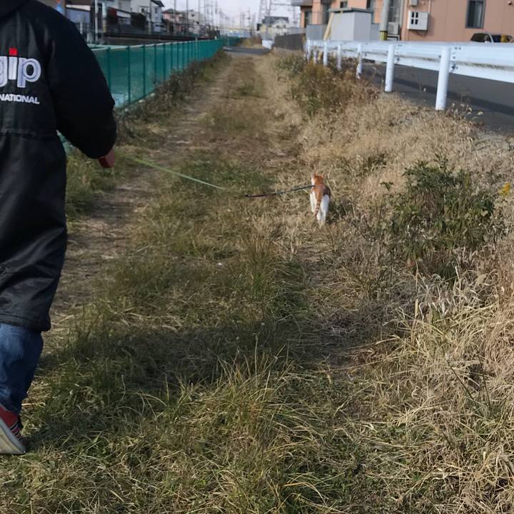 517e5c8a 9522 4061 bd92 47a833974afc 1513478708110