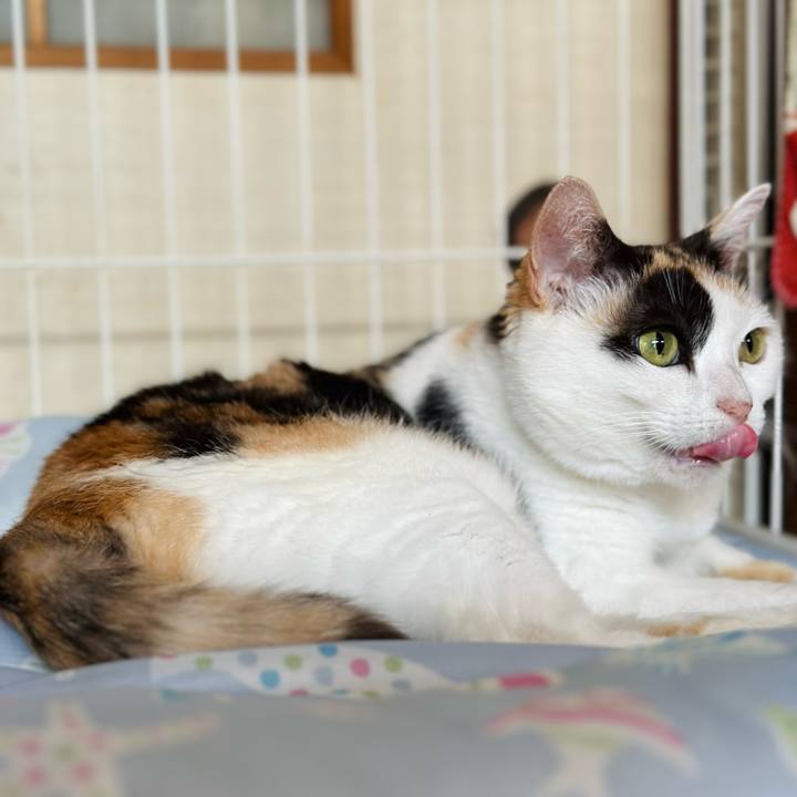 517e6f08 a017 40dc 9785 c8e6f7bbe732 1721777471676