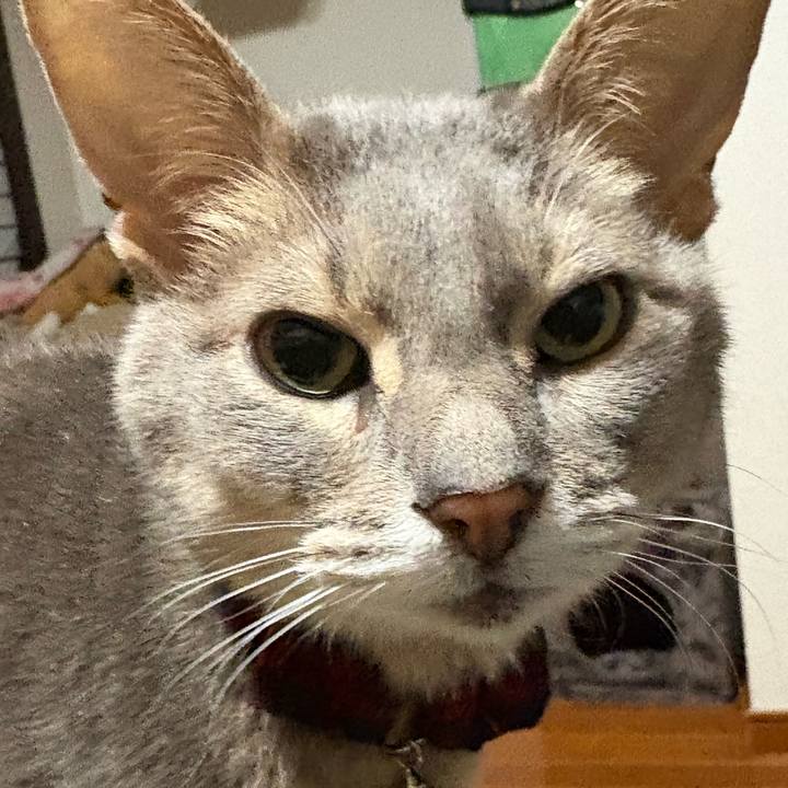 517e76b2 8f34 4c4b 82aa 4147b9cbc188 1763512192030