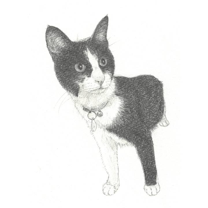 517e846e 442f 483f 9fb9 7b91ae252ab8 1553433662799