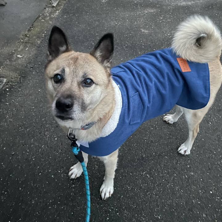 517ea4a0 626f 4d98 ab24 626b2bfa283c 1706790805061