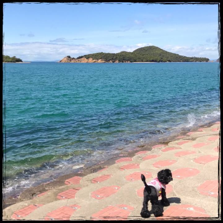 517eac6b 028d 426a b7fe 969847d82c5d 1523765470681