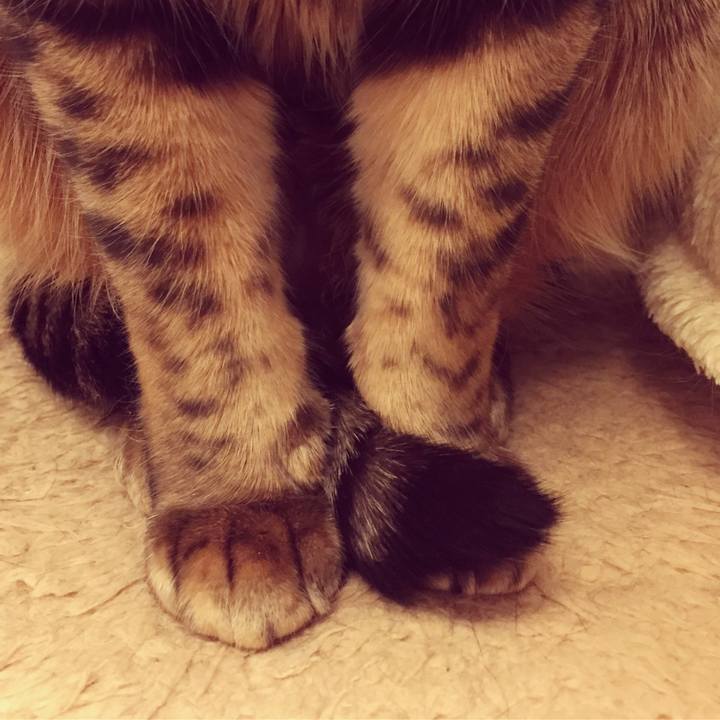 517ecc76 5c1b 4c7f 843e d855e5a06eec 1522802418789