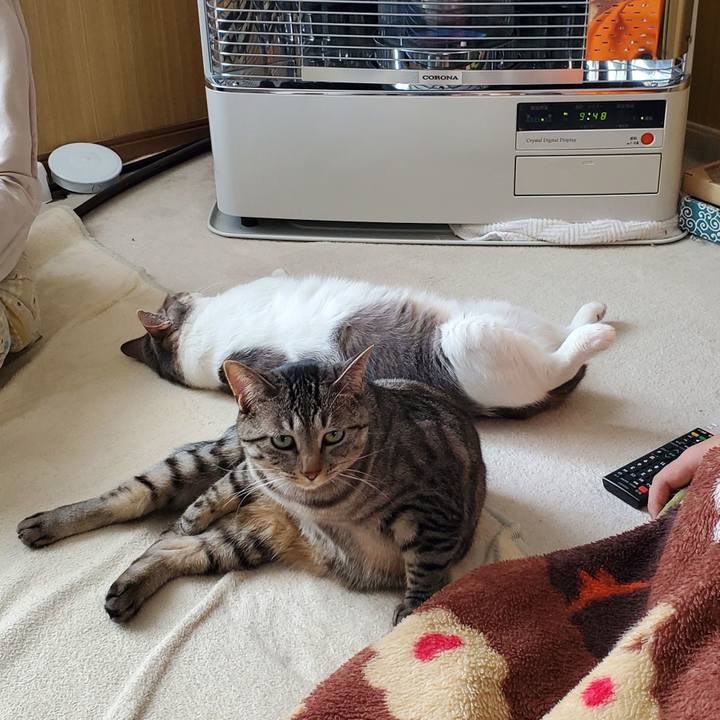 517fab5d 4e6d 4340 9918 84318b6cb0cb 1706630751933