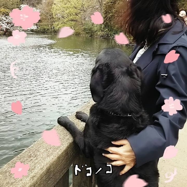 51800a88 171c 4880 b030 f02723f73643 1744251359048