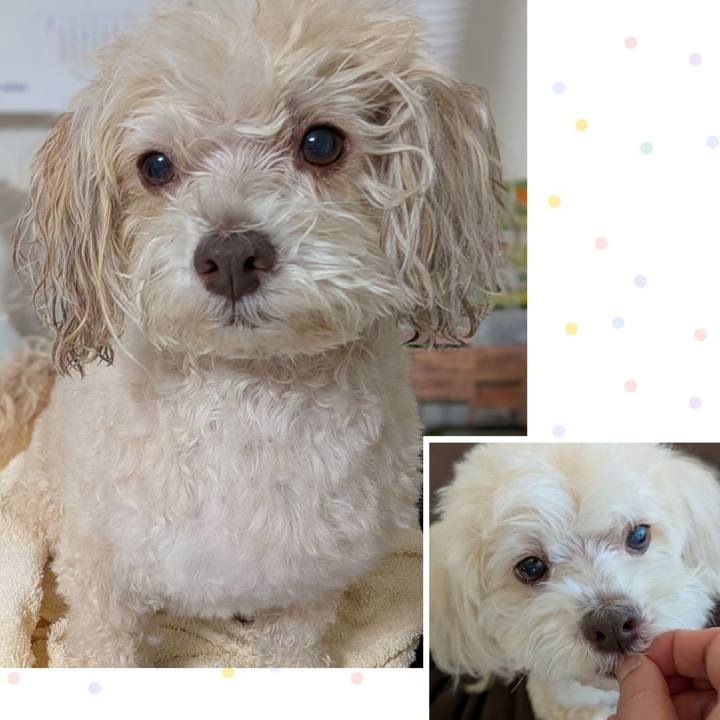 51808f43 9025 4e74 ac8c eecf1e05e474 1772199014451