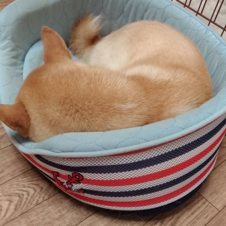 51809d22 d5c5 46f4 bbc2 5dbad2feffc4 1535516593038