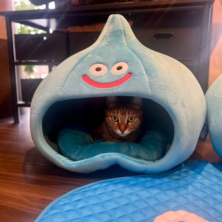 5180b9fe e5d5 43bb afcc 70d691c70b1b 1759570790616